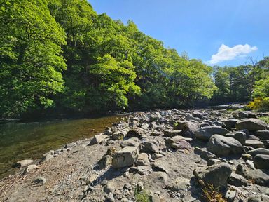 A rocky riverbank with a flowing river and trees under a blue sky at Garden Cottage No 1 in Keswick