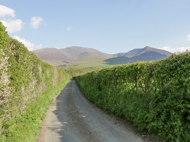 A country road bordered by hedges with mountains in the background at Briery House in Keswick