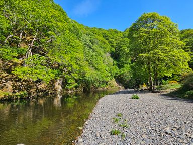A river with a rocky bank and green trees under a blue sky at Briery House in Keswick