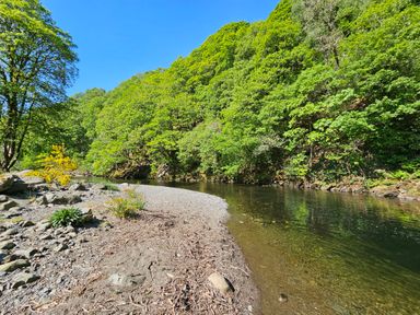A river flowing alongside a gravel and dirt shore with green trees on both sides at Briery House in Keswick
