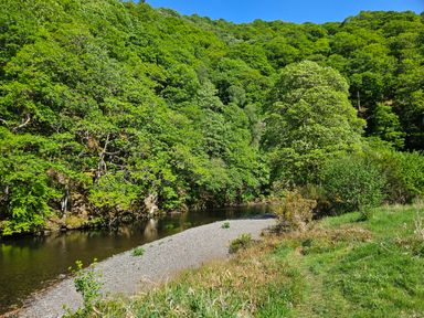 A river flowing through a forested landscape with a gravel bank and grassy area at Briery House in Keswick