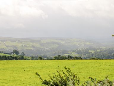 A green field with scattered birds and trees in the distance at Pinegarth in Catton near Allendale