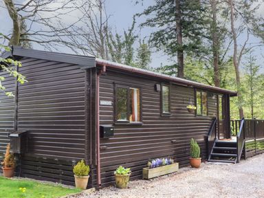 An exterior view of a dark brown wooden lodge with potted plants and a small staircase at Derwent Lodge in Keswick