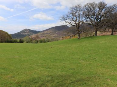A grassy field with trees and hills in the background at Derwent Lodge in Keswick