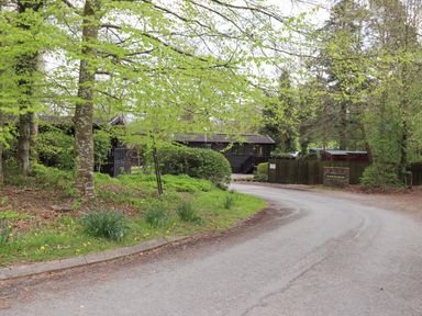 A curved road bordered by grass and trees leading to a dark wooden building at Derwent Lodge in Keswick