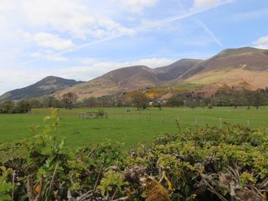 A green field with a fence and trees in front of hills under a partly cloudy sky at Derwent Lodge in Keswick