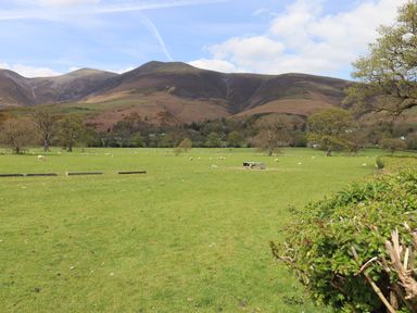 A green field with sheep grazing and trees with hills in the background at Derwent Lodge in Keswick