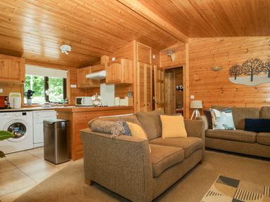 A living room with a couch and kitchen appliances at Derwent Lodge in Keswick