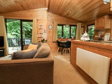 A living room with a sofa and kitchen area at Derwent Lodge in Keswick