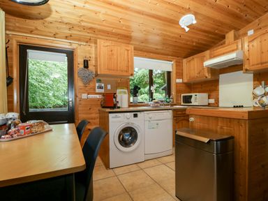 A kitchen with a washing machine and microwave at Derwent Lodge in Keswick