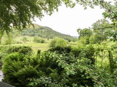 A view of greenery and hills at Derwent Lodge in Keswick