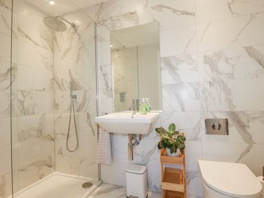 A bathroom with a shower, a sink, a toilet, and a plant on a wooden stand at 11 Ebbtide in Porth