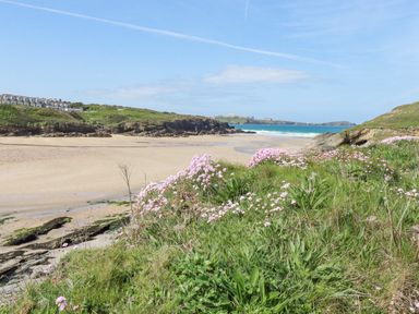 A sandy beach with rocky cliffs and grassy areas with pink flowers at 11 Ebbtide in Porth