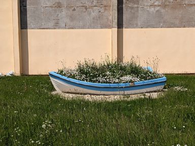 A small boat used as a planter with flowers and grass inside on a grassy lawn with a beige wall behind at Fairwinds in Newbiggin-By-The-Sea