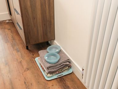 Two blue bowls on folded towels on a tray on a wooden floor next to a wooden cabinet and white radiator at Fairwinds in Newbiggin-By-The-Sea