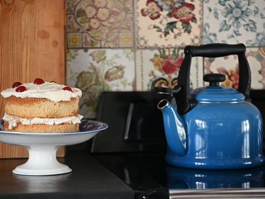 A kitchen counter with a cake on a white stand and a blue kettle on a stove with floral patterned tiles in the background at Ty Sinsir in Tretower