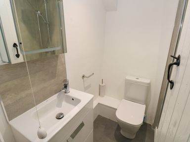 A small bathroom with a toilet sink and mirror at Primrose Cottage in Manorbier