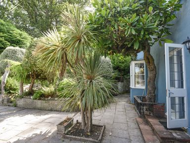 A garden with various trees and plants next to a blue house with an open door at Braeside Lyme Regis