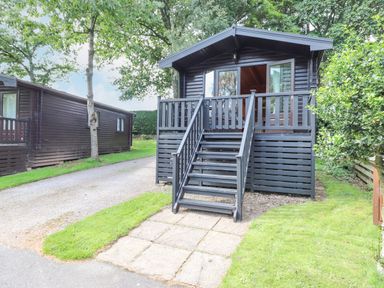 A cabin with stairs leading to a front porch surrounded by grass and trees at Ennerdale Lodge in Burnside Park near Keswick