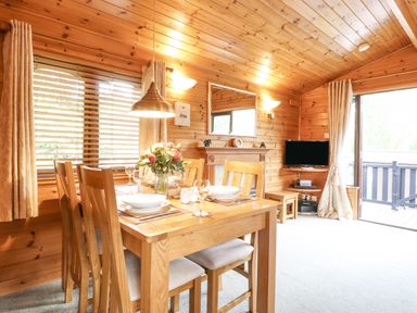 A dining area with a wooden table set with plates and glasses and a television on a corner wall at Ennerdale Lodge in Burnside Park near Keswick