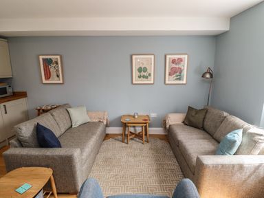 A seating area with two gray sofas facing each other with pillows and throws a small wooden table between them and three framed pictures on a blue wall at Lark Rise in Alnmouth