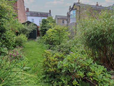 A garden with green plants grass and flowers between houses in Alnmouth