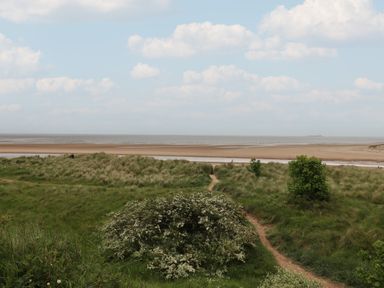 A path through grass and bushes leading to a sandy beach and sea under a cloudy sky at Lark Rise in Alnmouth