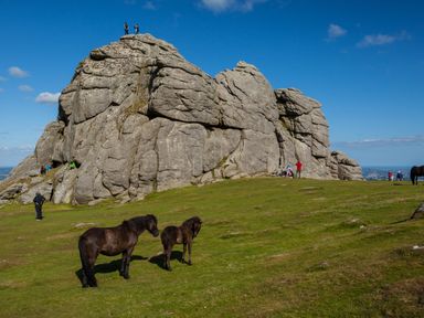 A large rock formation with people around and two dark horses on grassy land at The Loft Cottage in Totnes
