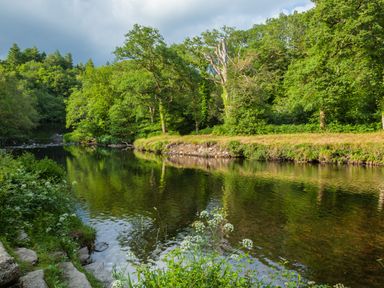 A river with steps leading down and trees along the bank at The Loft Cottage in Totnes