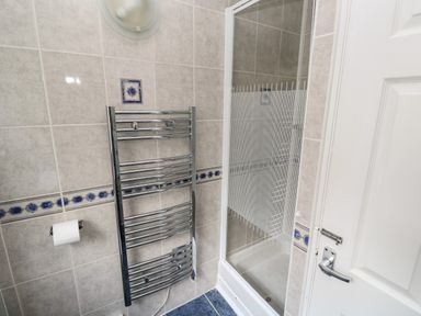 A bathroom with a shower enclosure a heated towel rail a toilet paper holder and a door at Badger Sett in Granite Henge near Looe