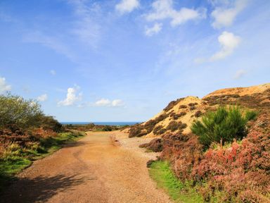 A dirt path with bushes and small hills under a blue sky at Nebo Pod in Amlwch