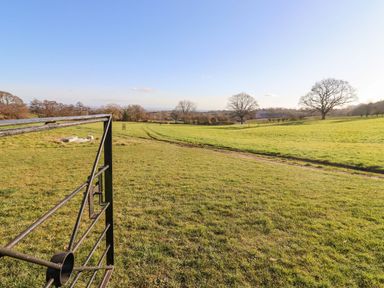 A metal gate opening to a grassy field with trees under a clear sky at The Millhouse in Ledbury near Welland