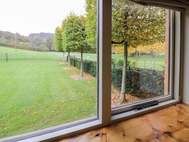 A view of a grassy garden with trees and a fence seen through a glass window at The Millhouse in Ledbury near Welland
