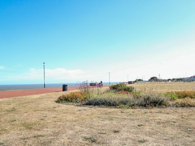 A grassy park area with bushes and flowers near a walkway by the sea at Seaside House in Gorleston-On-Sea