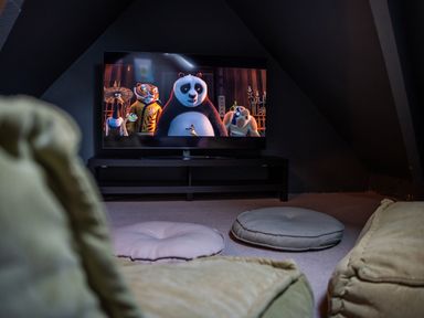 A room with a television on a stand showing animated characters and cushions on the floor at Haulfryn in Barmouth