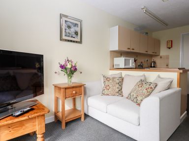A small living room with a white sofa and floral cushions wooden side and TV tables with a vase of flowers a wall picture and a kitchenette at Mabel's View in East Allington Devon