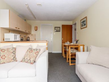 A living and kitchen area with two sofas a dining table and chairs a microwave and kettle on the kitchen counter at Mabel's View in East Allington Devon