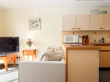 A small living area with a beige sofa and kitchen with microwave and sink at Mabel's View in East Allington Devon