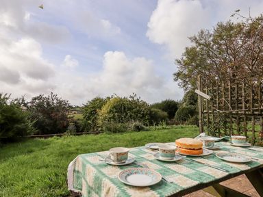 An outdoor table with cups plates and a cake on a green lawn with bushes and sky in the background at Mabel's View in East Allington Devon