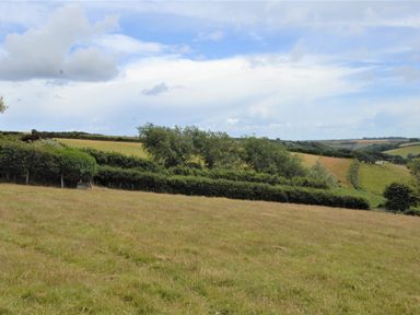 A grassy field with trees and hedges and rolling hills in the background at Mabel's View in East Allington Devon