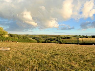 A rural landscape with grassy fields hedges and scattered trees under a partly cloudy sky at Mabel's View in East Allington Devon