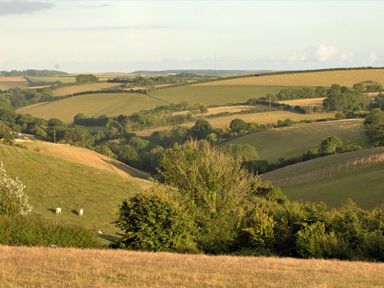 A rural landscape with rolling hills trees and grazing sheep at Mabel's View in East Allington Devon