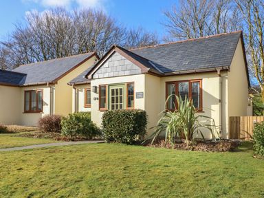 A single story house with cream walls and dark roof surrounded by grass and bushes at Inny Brook Burrow in Davidstow near Camelford