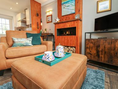 A living room with a brown couch and ottoman a fireplace and a television on a wooden cabinet at Inny Brook Burrow Davidstow near Camelford
