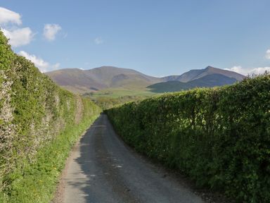 A narrow country road bordered by tall green hedges with hills in the background at Canadian Cabin No 39 in Keswick