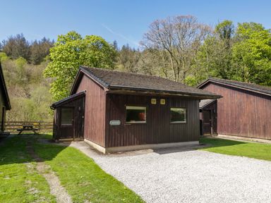 A cabin surrounded by trees and a gravel pathway at Chestnut Timber Lodge in Keswick