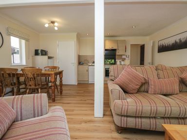 A living room with a dining area and kitchen appliances at Chestnut Timber Lodge in Keswick