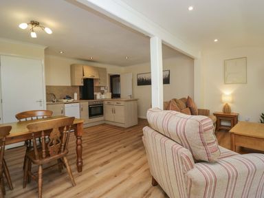 A kitchen and living area with a dining table and chairs at Chestnut Timber Lodge in Keswick