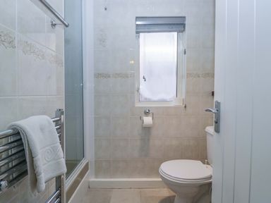 A bathroom with a shower and toilet at Chestnut Timber Lodge in Keswick
