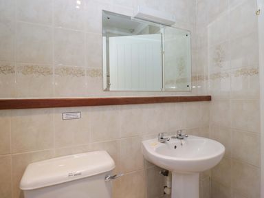 A bathroom with a toilet and a washbasin at Chestnut Timber Lodge in Keswick
